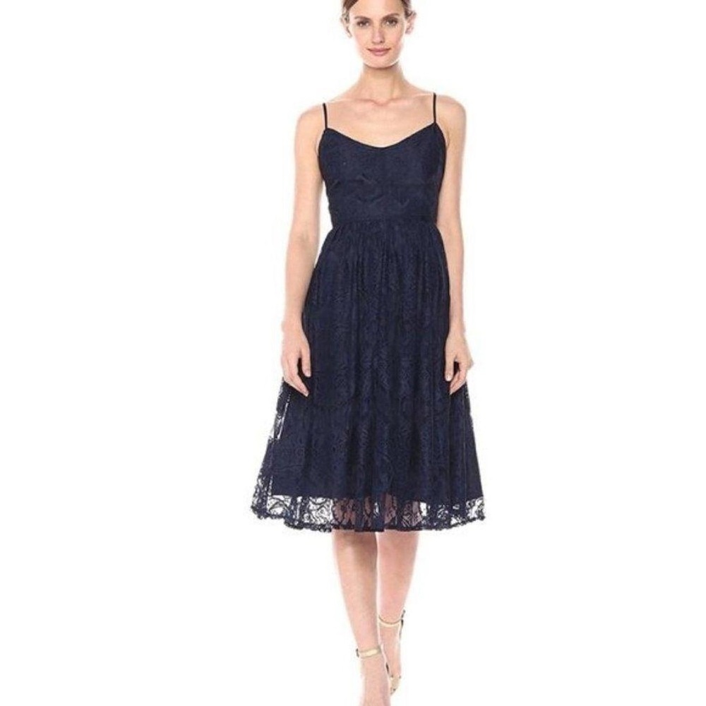 Elegant Navy Blue Lace Dress BB Dakota